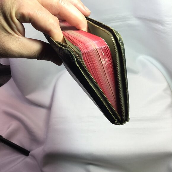 Holy Bible Illustrated KJV Self-Pronouncing Edition Zippered World Pub Vintage - Picture 7 of 15